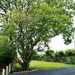 Vakantiehuis Ash Tree Bangor
