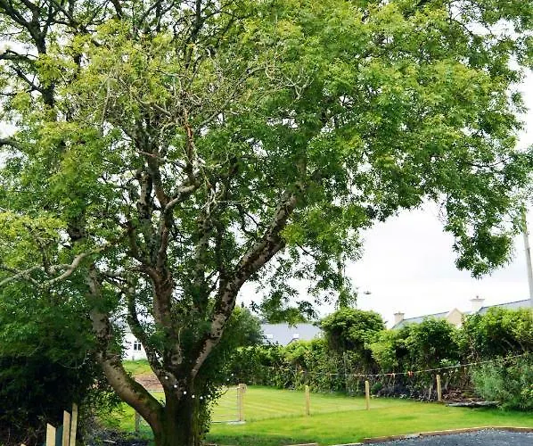 Сasa de vacaciones Ash Tree Bangor