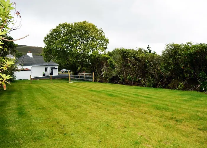 Semesterbostad Ash Tree